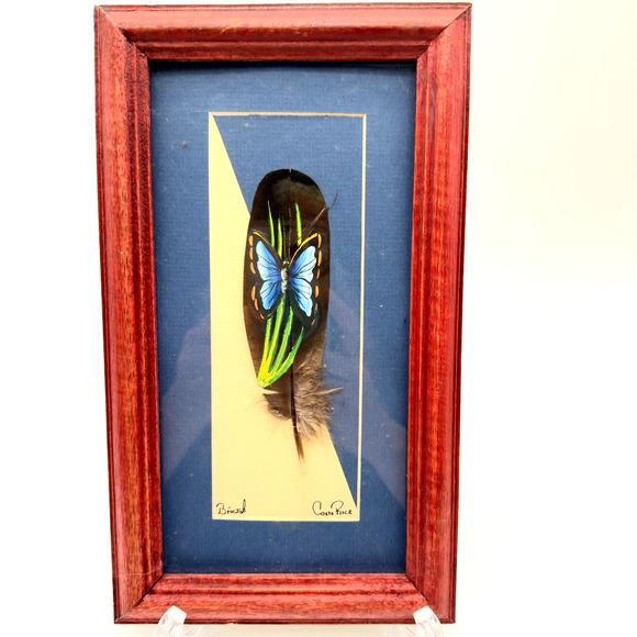 Hand Painted Feather Art Framed Butterfly Costa Rica Tropical Tiki 10.5" x 6" - Picture 1 of 7